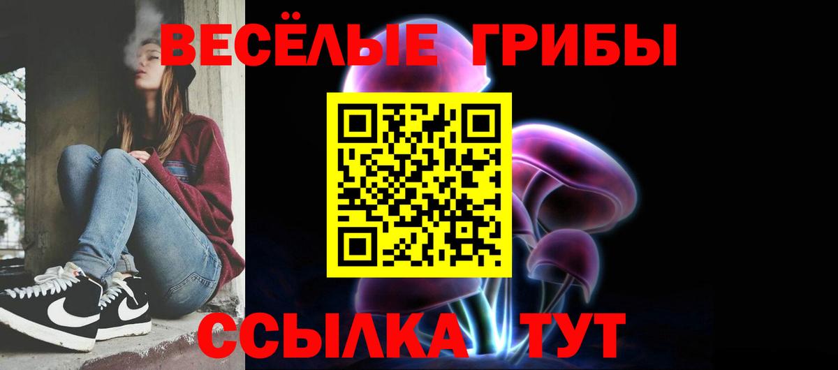 Галлюциногенные грибы прущие грибы Сланцы